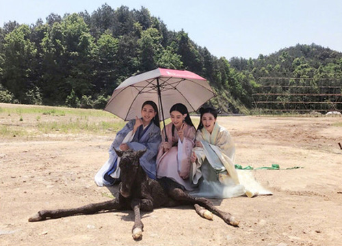 出游季夏曰炎炎，草帽加連衣裙絕對(duì)是標(biāo)配，暑期防曬全攻略！